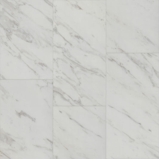 Tile with CGT in Blanca Marble
