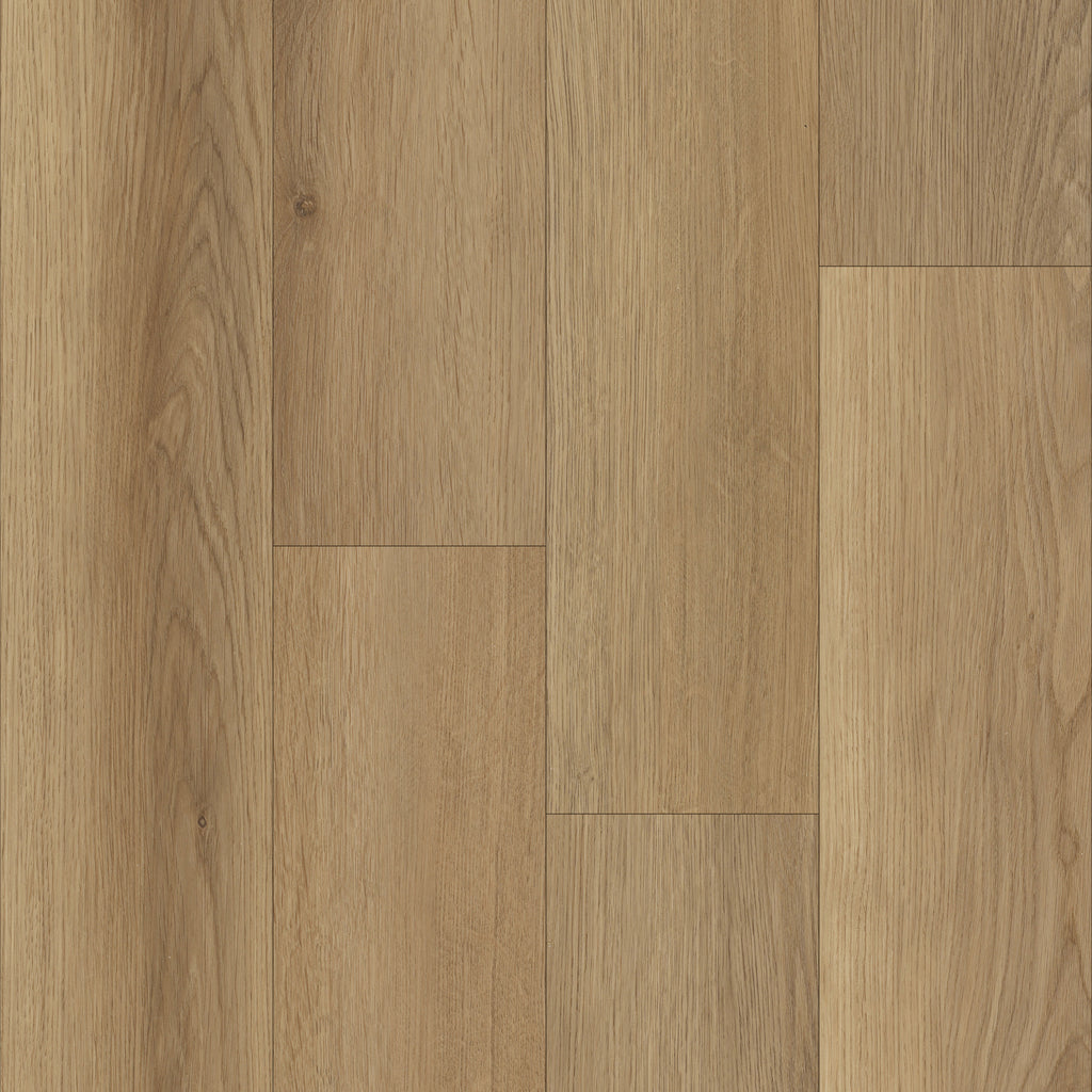 Charlie_P1064_Mica_D7731_Overh