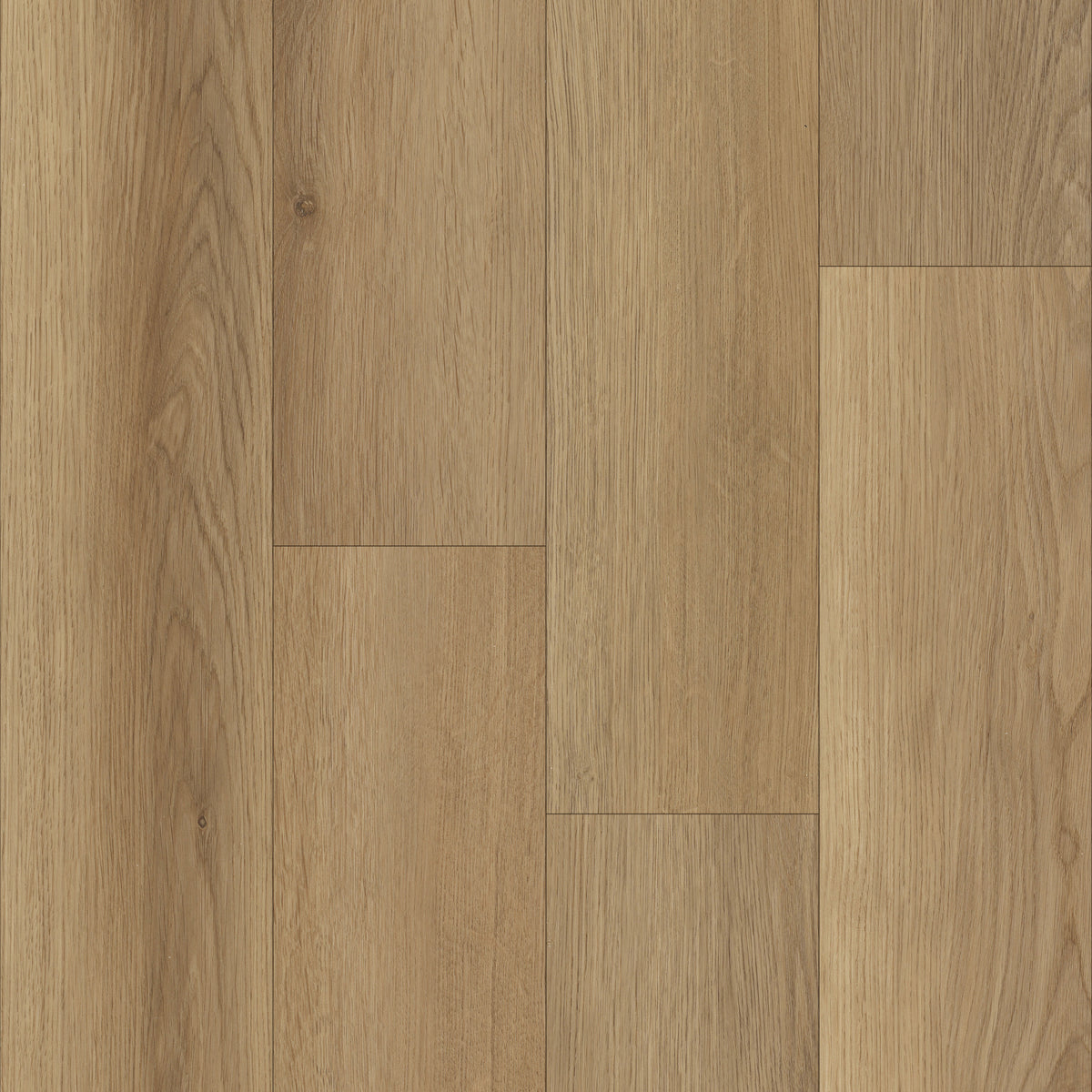 Charlie_P1064_Mica_D7731_Overh