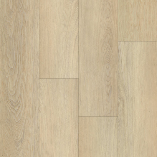 Boardwalk in Castle Oak