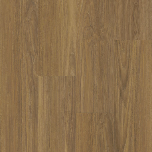 Boardwalk in Laurel Oak