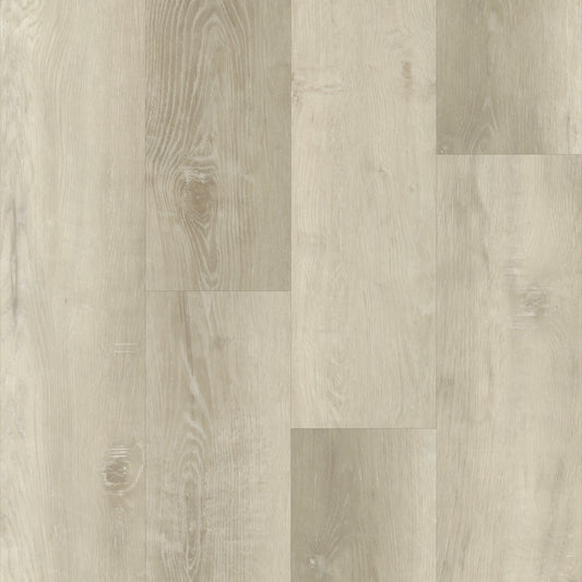 Boardwalk in Calaway Oak