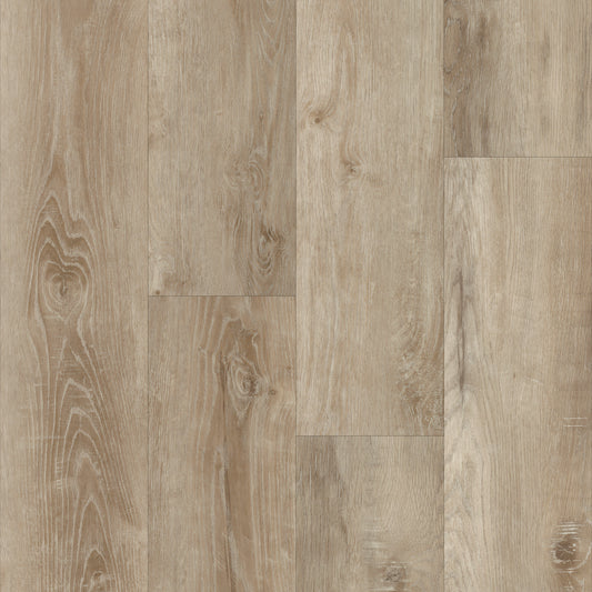 Boardwalk in Estes Oak