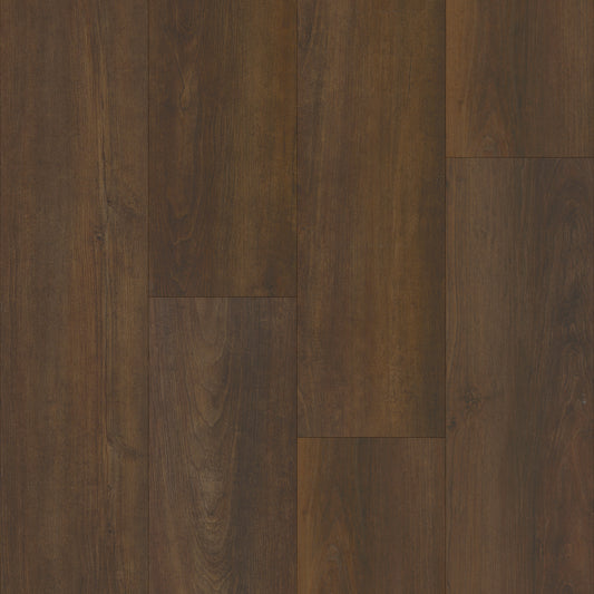 Boardwalk in Rollinger Oak