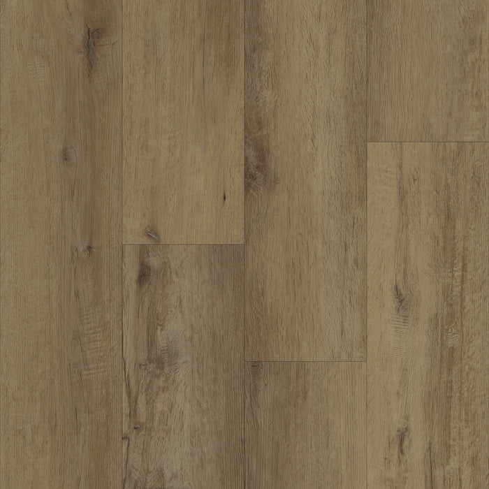Prime X 7 in Antler Oak