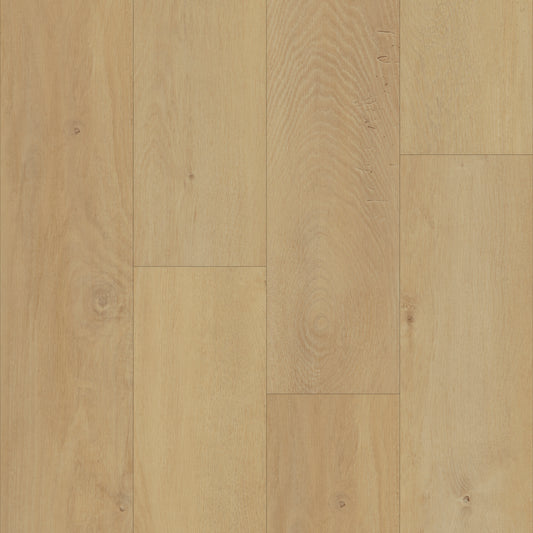 Prime X 7 in Malabar Oak
