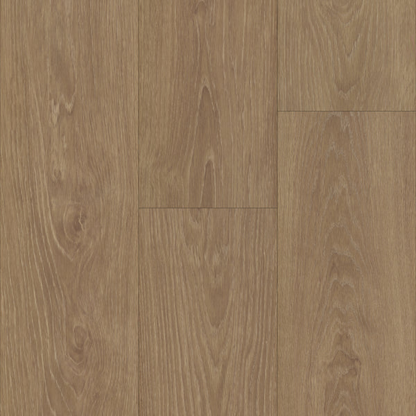 Cedar Stump – Jenni Kayne