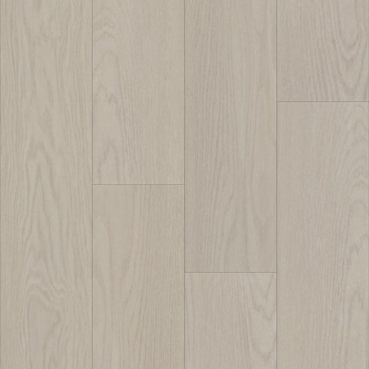 Bravo in Corba Oak