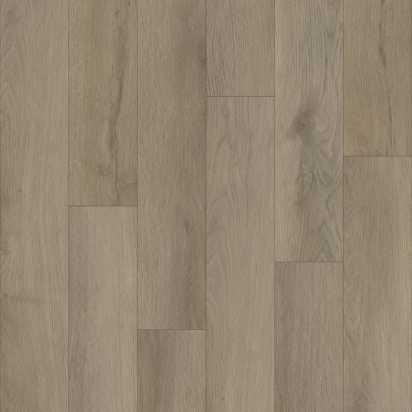 TRUCOR_P1054-