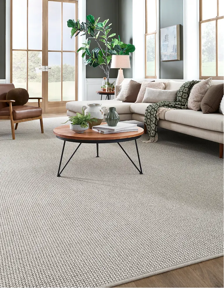 Bright living room with a light gray textured area rug over light wood floors.